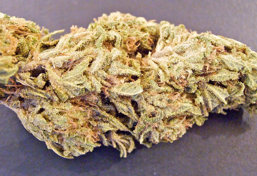 GanjaGourmetAfghaniGoo01bud
