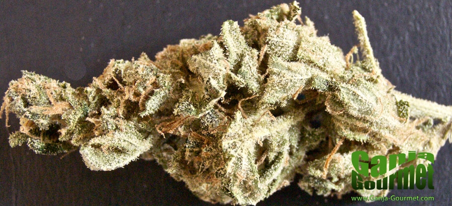 GanjaGourmetAfgooey01id