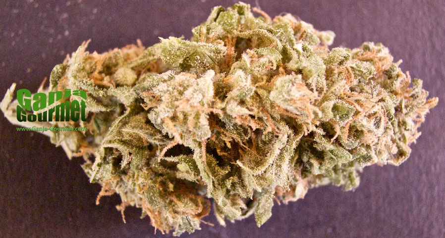 GanjaGourmetBerryCough01id