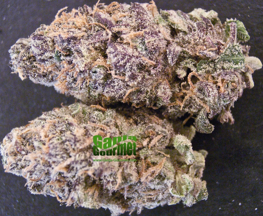 GanjaGourmetBlueMoon01id