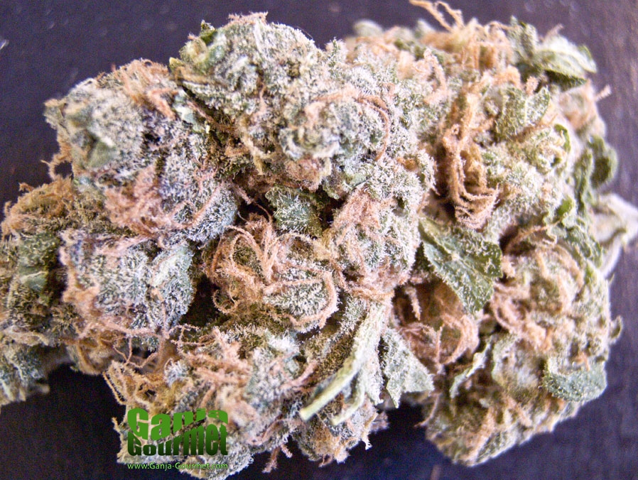 GanjaGourmetPineappleExpress01id