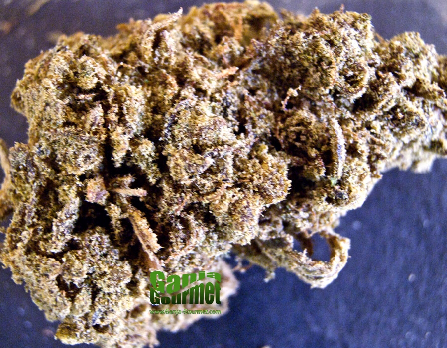 GanjaGourmetPineappleExpressCaviar01id