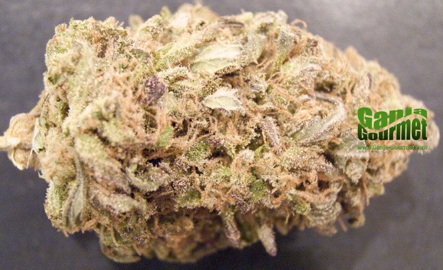 GanjaGourmetPurpleDiesel01id