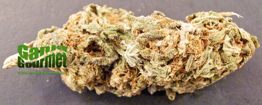 GanjaGourmetRedDragon06001id