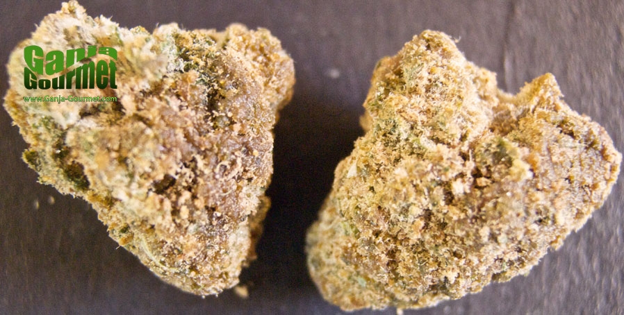 GanjaGourmetSourDieselCaviarInfusedBud01id