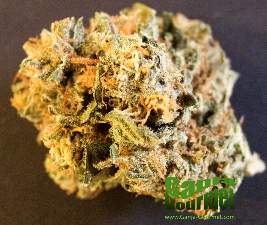 GanjaGourmetSpicyFruit01id