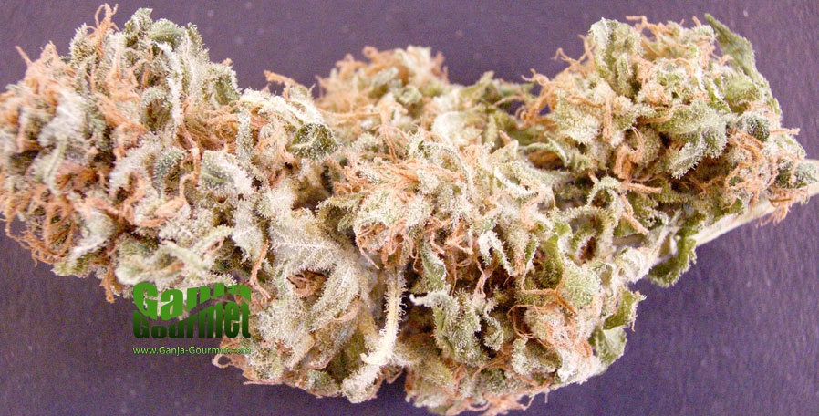 GanjaGourmetStrawberryCough01
