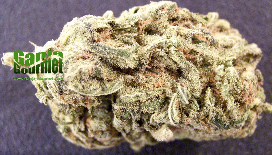 GanjaGourmetTrainWreck01id