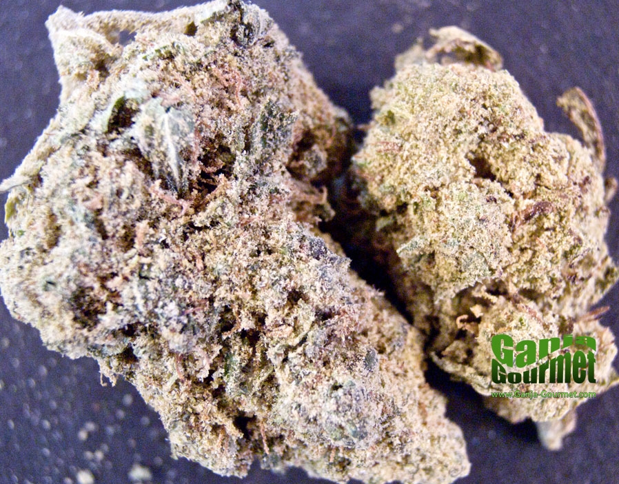 GanjaGourmetWhiteRussianInfusedBud01id