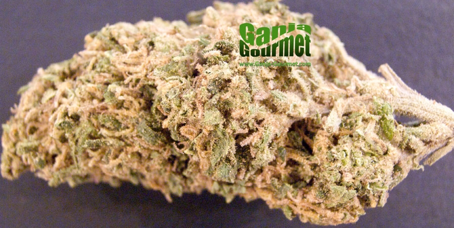 GanjaGourmetGreenCrack01id