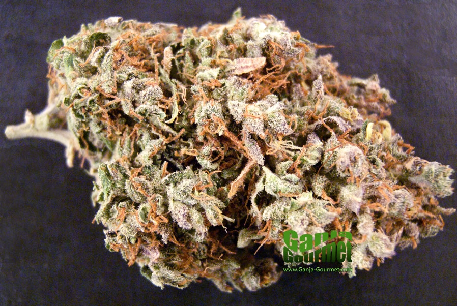 GanjaGourmetGreenWingsbud01id