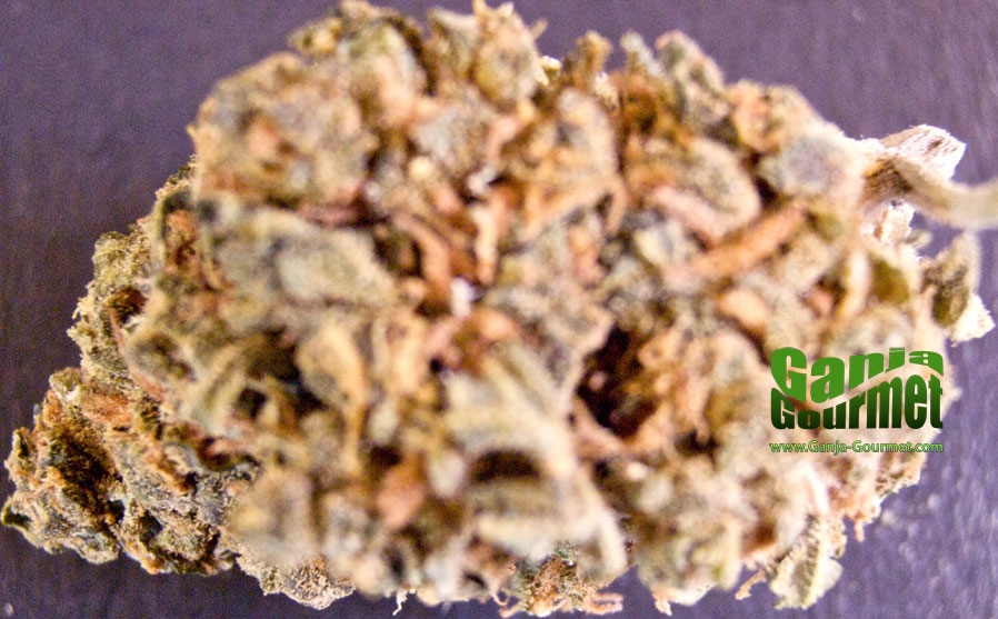 GanjaGourmetInfusedBoulderKush01id