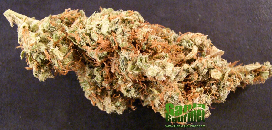 GanjaGourmetKaliMistbud01id