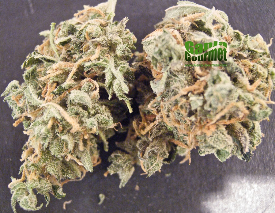 GanjaGourmetMagicMerlinid01