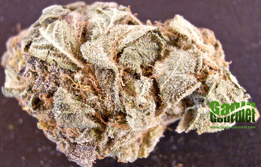 GanjaGourmetMentalFloss01id