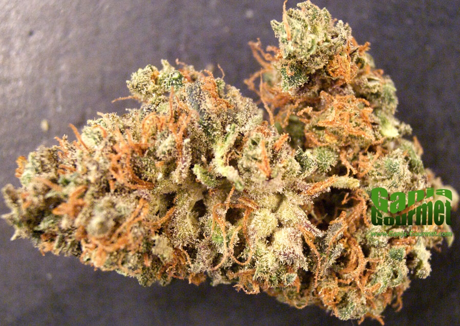 GanjaGourmetMileHighDisaster01id