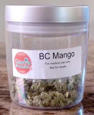 GanjaGourmetBCMangojar