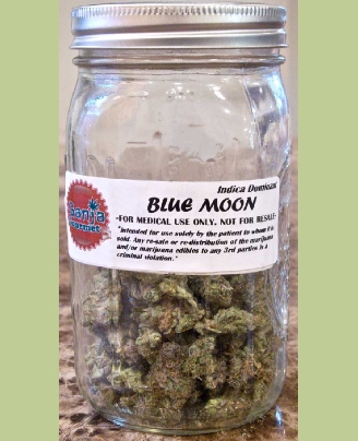 GanjaGourmetBlueMoonjar