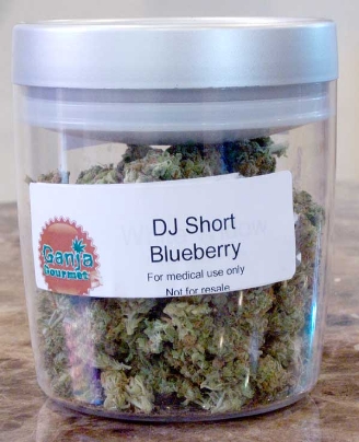 GanjaGourmetDJShortBlueberryjar