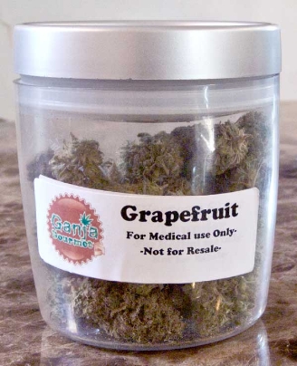 GanjaGourmetGrapefruitjar