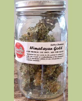 GanjaGourmetHimalayanGoldjar01