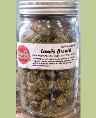 GanjaGourmetLambsBreathjar02