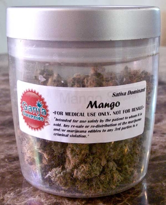 GanjaGourmetMangojar