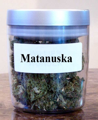 GanjaGourmetMatanuskajar