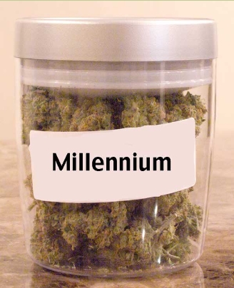 GanjaGourmetMillenniumjar