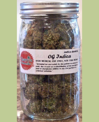 GanjaGourmetOGIndicajar