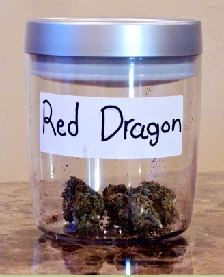 GanjaGourmetRedDragon01jar