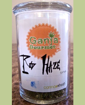 GanjaGourmetRedHazenewjar01