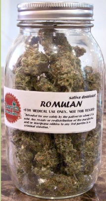 GanjaGourmetRomulanjar04