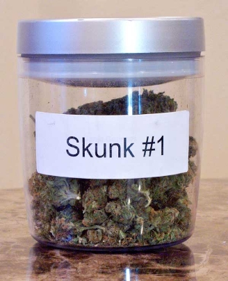 GanjaGourmetSkunk101jar