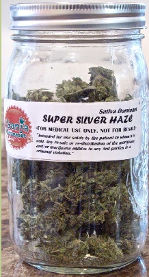 GanjaGourmetSuperSilverHazejar03