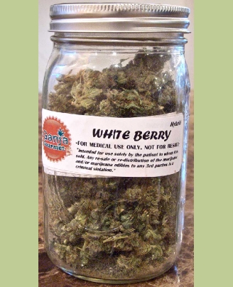 GanjaGourmetWhiteBerryjar