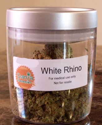 GanjaGourmetWhiteRhinojar2